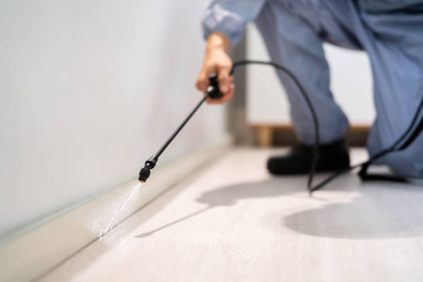 Bed Bug Pre-Treatment Preparation Assessment in Providence Village