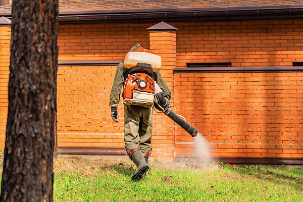Bed Bug Clearance Verification and Documentation in Providence Village
